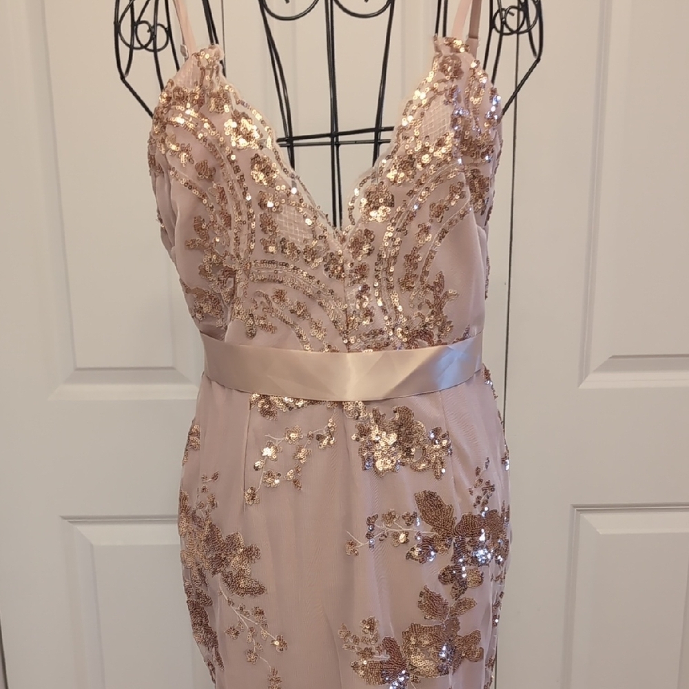 Scalloped Trim Sequin Embellished Dress in Rose Gold